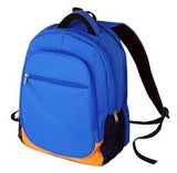 Rexin School Bag